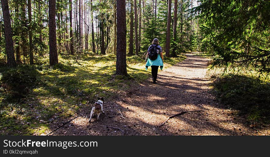 Woman Wearing Black Backpack Walking on the Forest With Her Dog