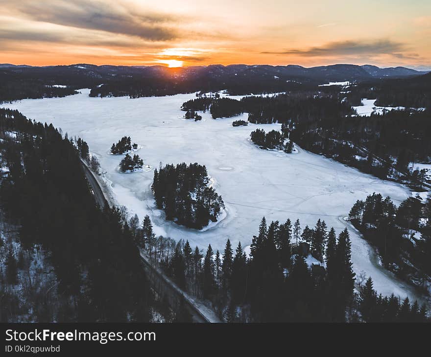 Snowfield Near Green Trees in Aerial Shot