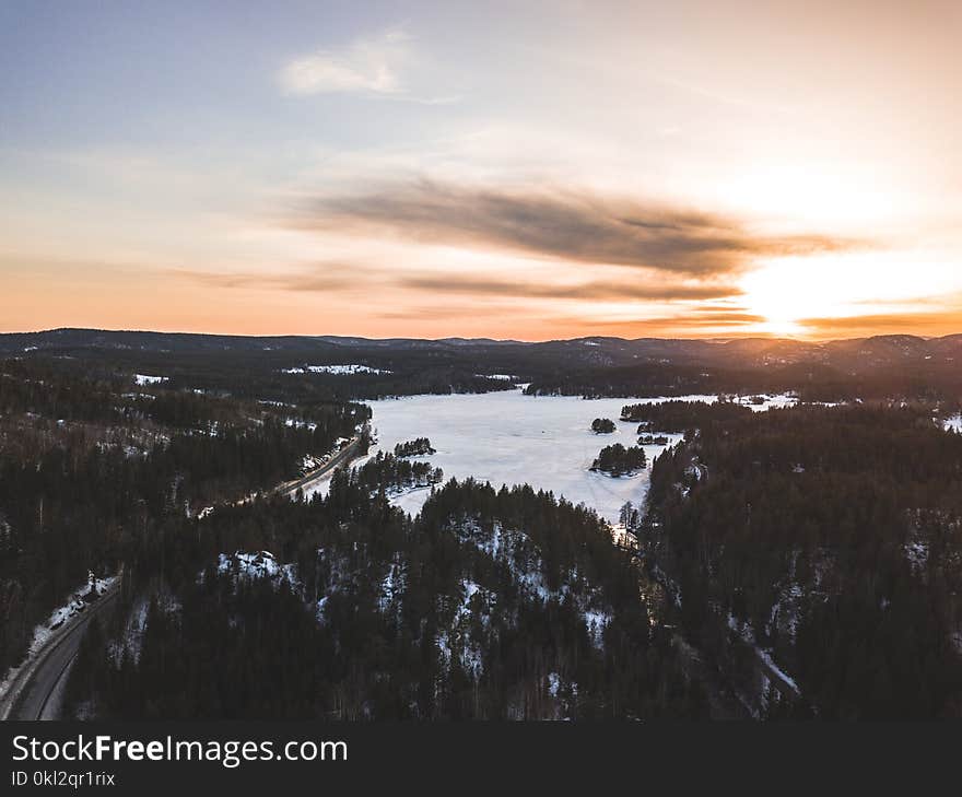 Aerial View Photography of Trees and Road