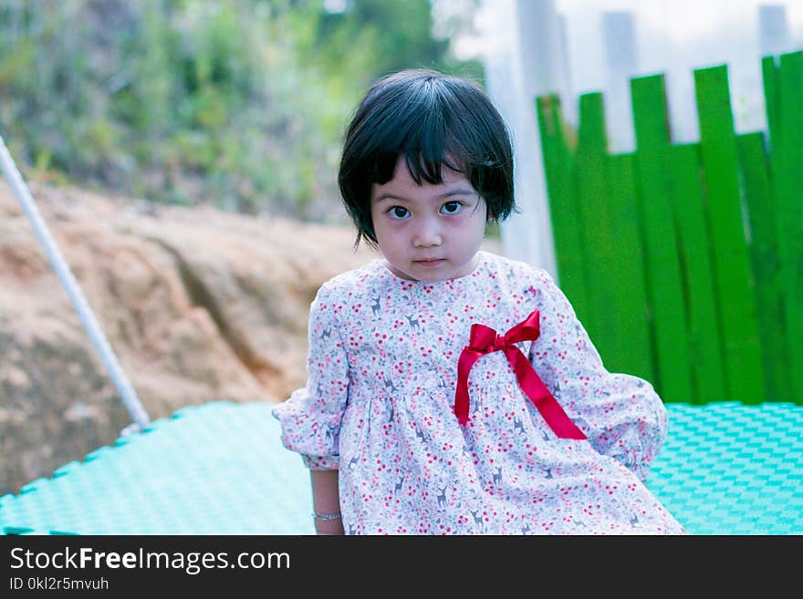 Toddler&#x27;s Gray Floral Dress