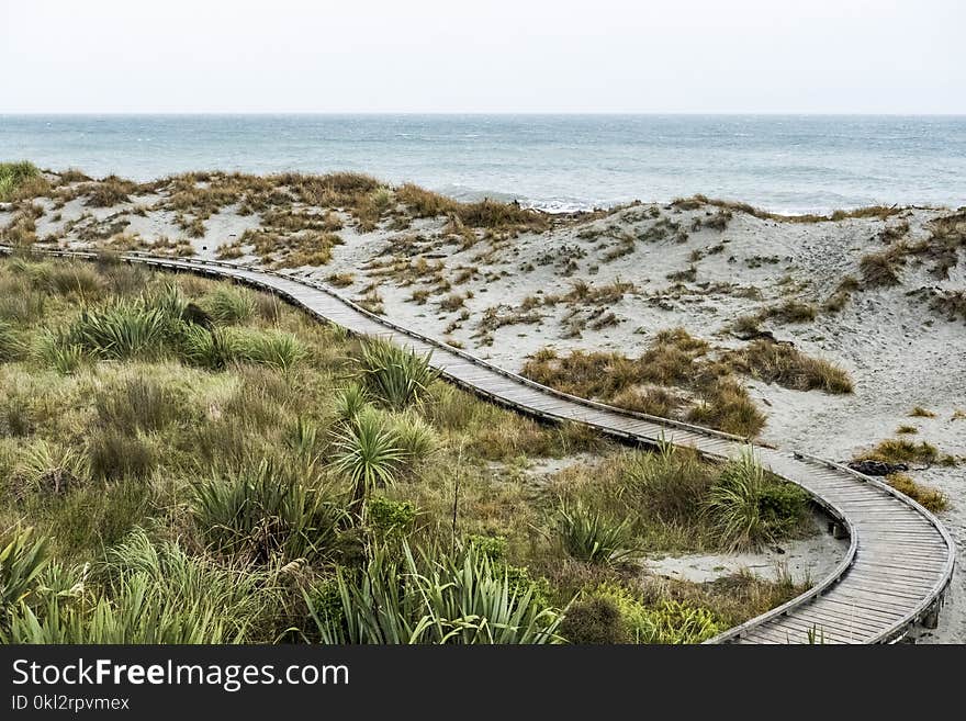 Road Leading to Ocean