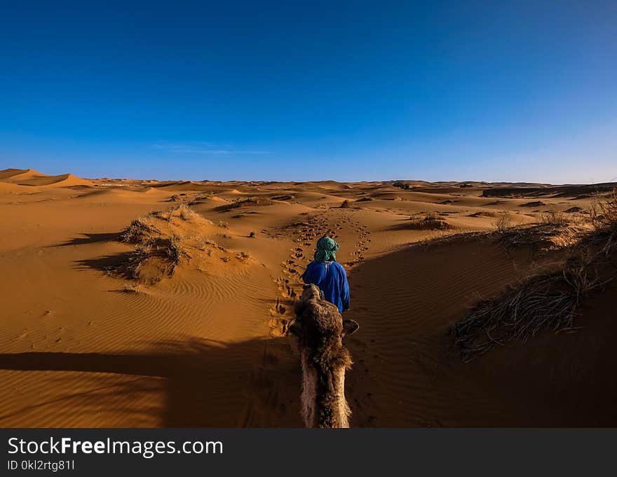 Man Wearing Blue Jacket Riding Camel Walking on Desert