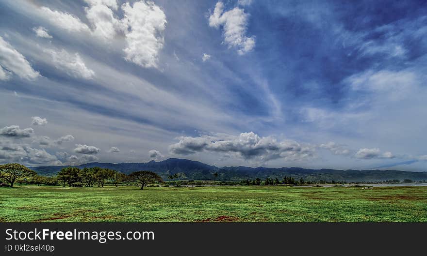 Green Grass Field Under White and Blue Sky at Daytime