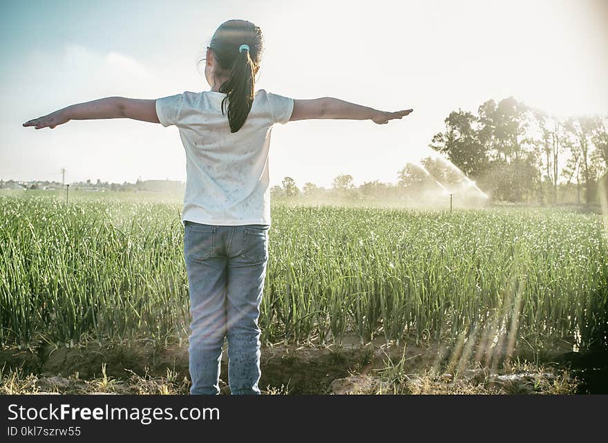 Child Girl Under Sprinklers At Work With Backlit Sunrays