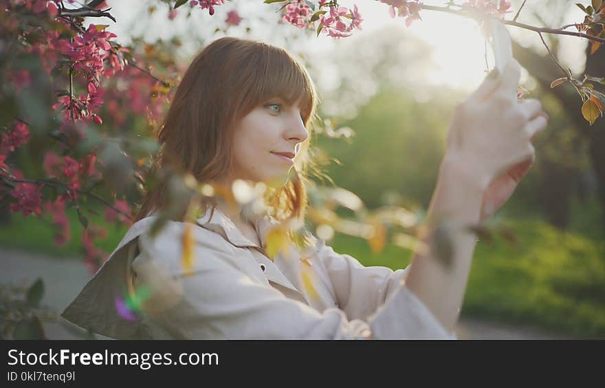 Young attractive red-haired woman taking photos of spring flowers of cherry or sakura blossoms on smartphone at sunset in park