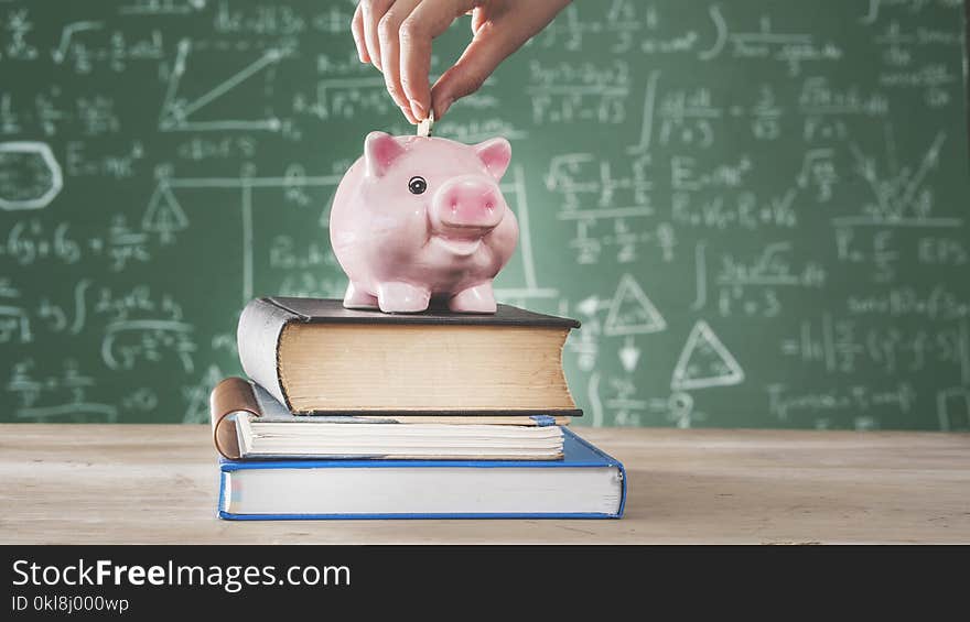 Female putting coin into piggy bank