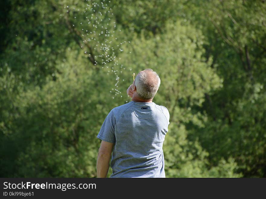 Green, Man, Tree, Nature