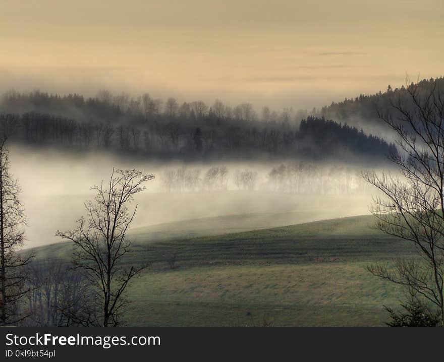 Mist, Sky, Fog, Dawn