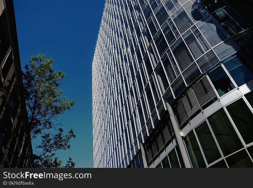 Building, Skyscraper, Metropolitan Area, Landmark