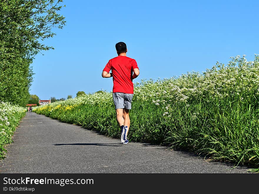 Path, Nature, Person, Plant