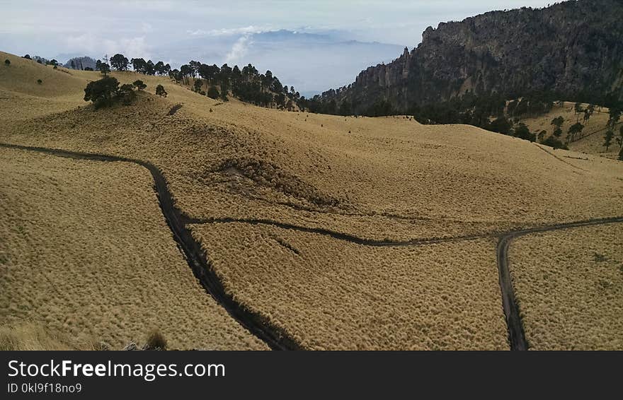 Ecosystem, Ridge, Soil, Sky