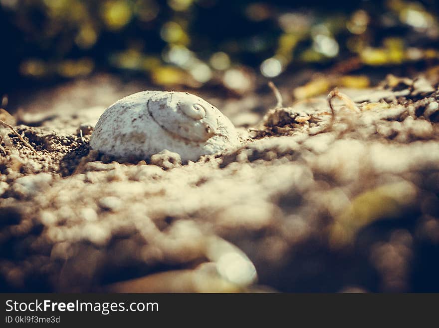 Close Up, Water, Photography, Macro Photography