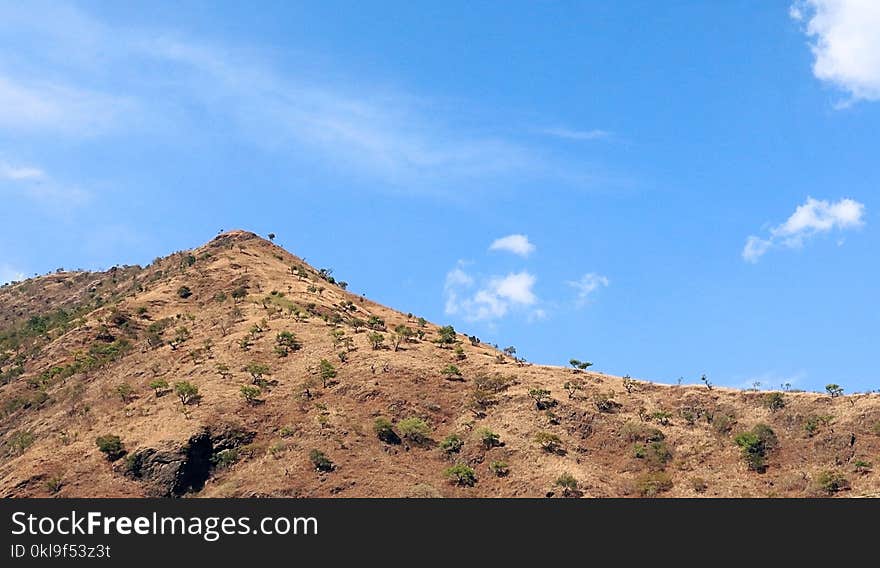 Sky, Vegetation, Hill, Ecosystem