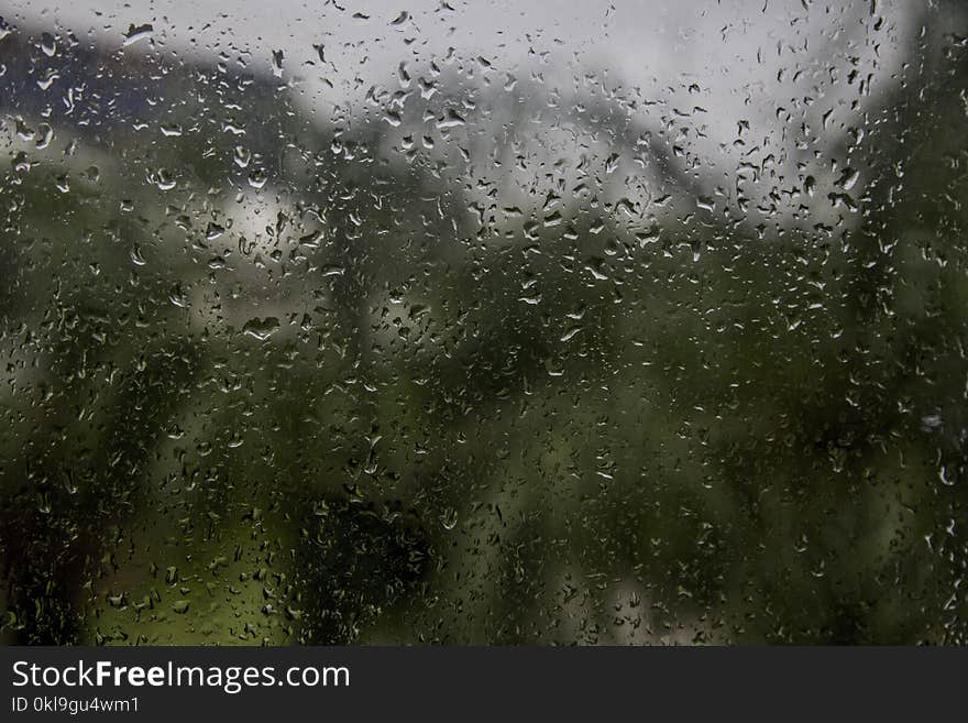 Water, Rain, Atmosphere, Vegetation