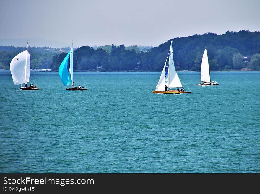 Sail, Sailboat, Water Transportation, Dinghy Sailing