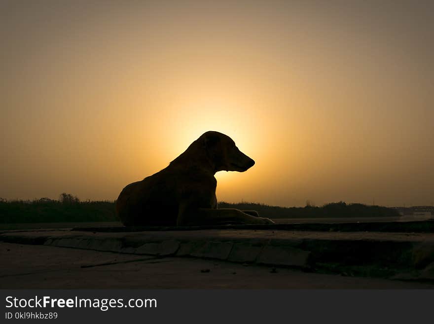 Sunrise, Sky, Silhouette, Morning