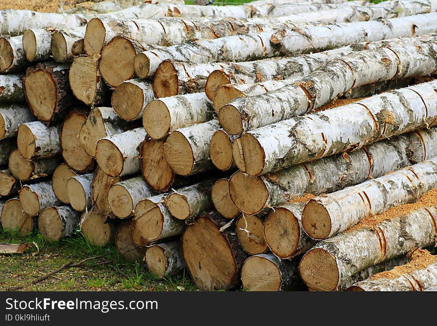 Wood, Lumber, Tree, Trunk