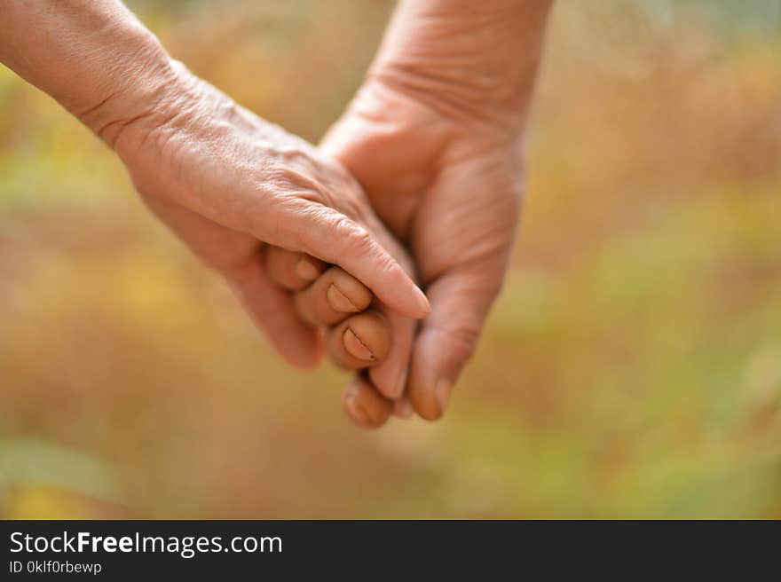 Elderly couple holding hands together in autumn park