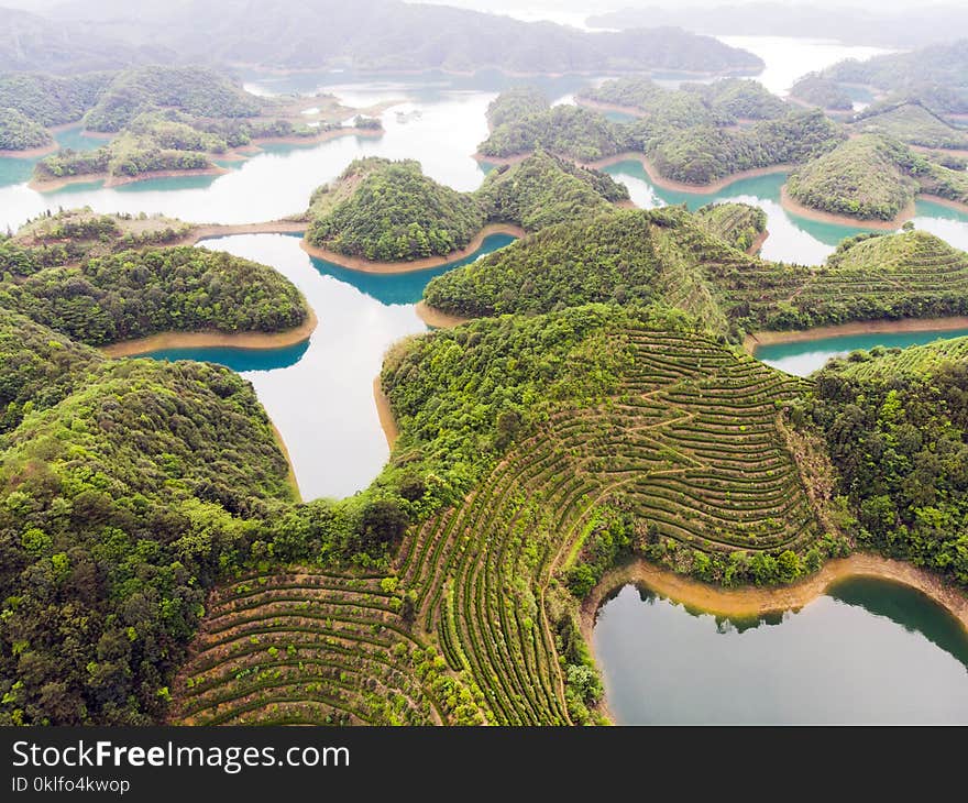 Aerial View of Thousand Island Lake. Bird View of Freshwater Qiandaohu. Tea Fields on Islands in Chun’an Country, Hangzhou, Zhejiang Province, China Mainland. Aerial View of Thousand Island Lake. Bird View of Freshwater Qiandaohu. Tea Fields on Islands in Chun’an Country, Hangzhou, Zhejiang Province, China Mainland.