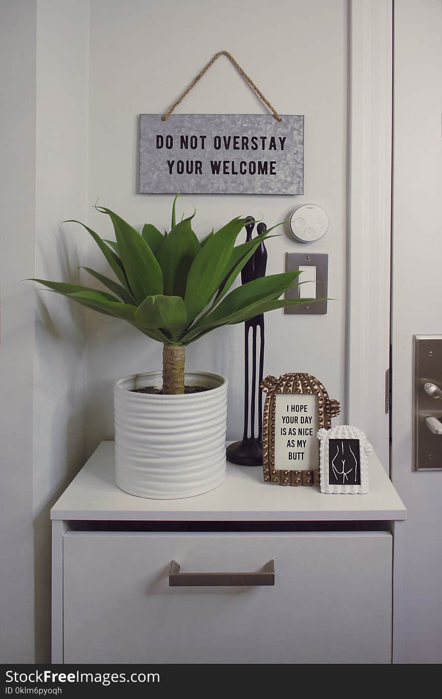 Green Dracaena Plant With White Pot on White Wooden Surface