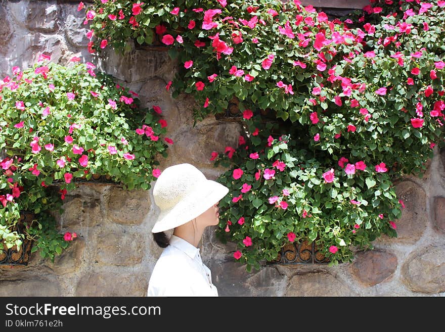 Woman Wearing White Bucket Hat With White Top Beside Pink Petaled Flower at Daytime