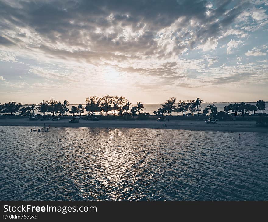 Body of Water and Trees