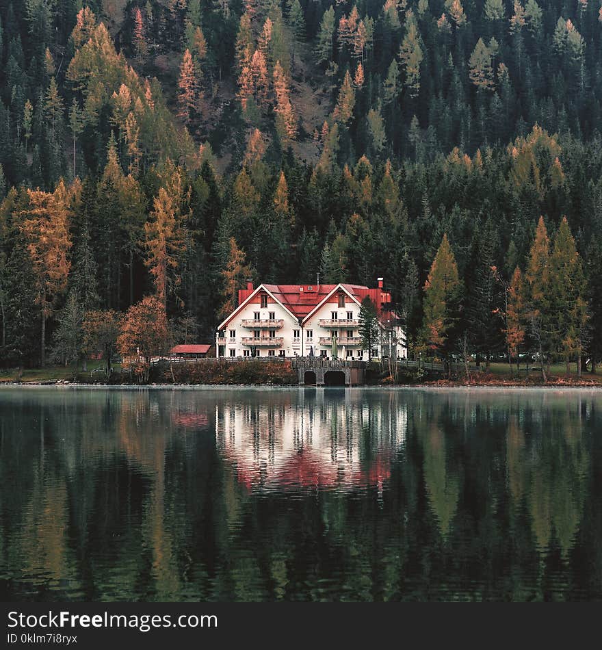 White and Orange House Beside Forest and Body of Water