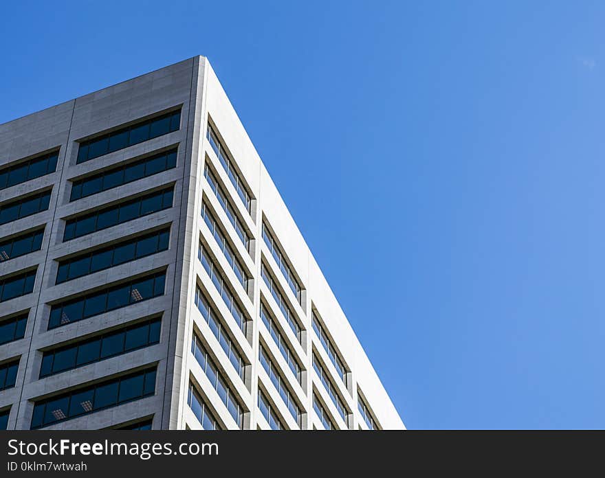 Worm-eye Photography of a High Rise Building