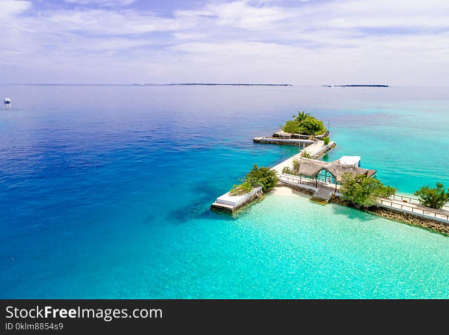 High Angle View Photo of White Dock With Trees on Seashore