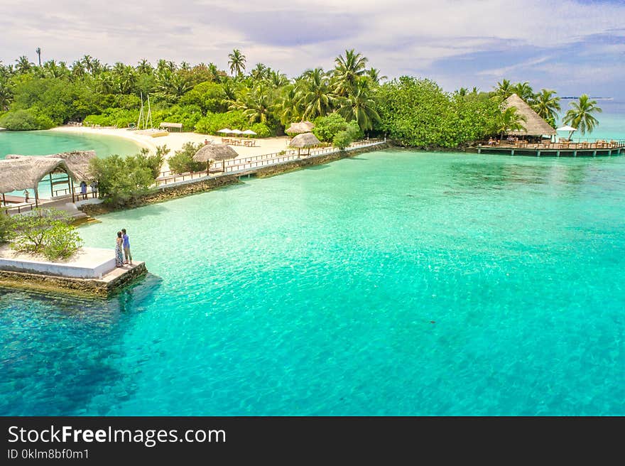 Aerial Photo of Beach With Dock