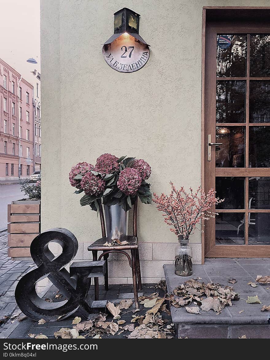 Maroon Flower Bouquet Under Black and White Wall-mount Light Mounted on Beige Concrete Wall