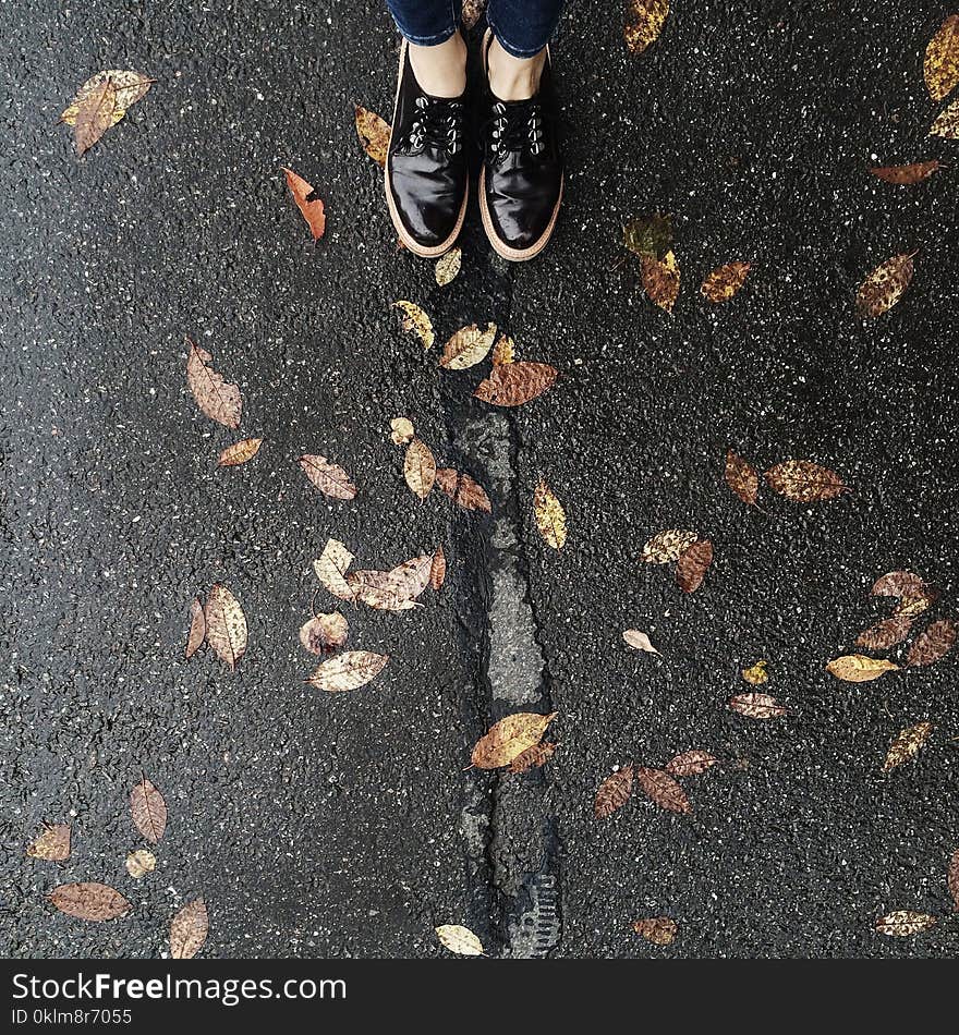 Person Wearing Black Low-top Shoes Standing Concrete Pavement