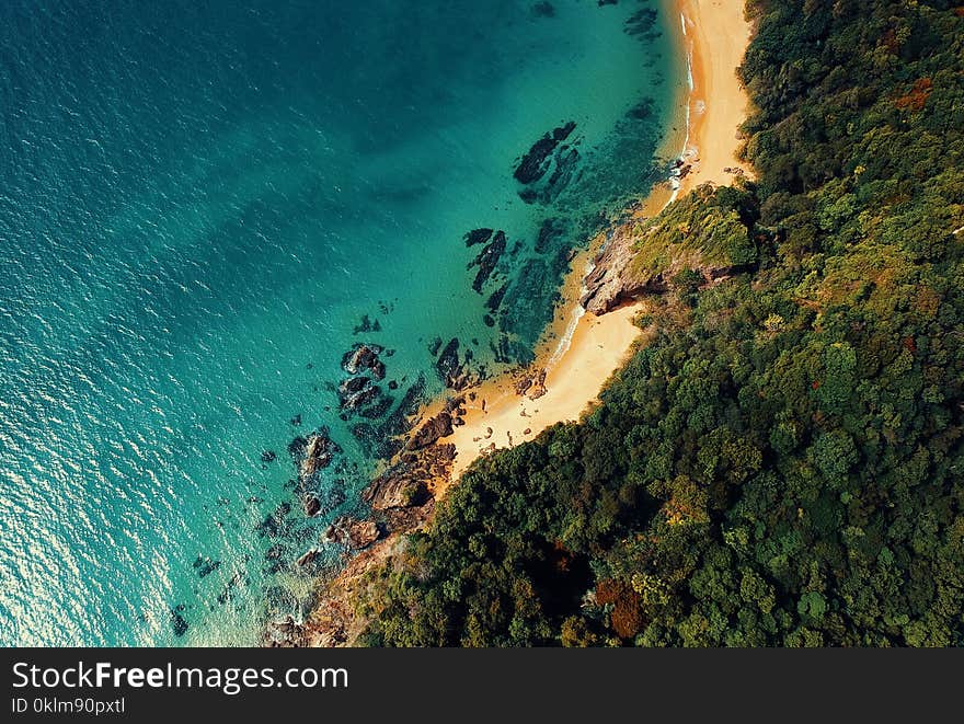 Aerial Photo of Blue Body of Water and Green Leafed Trees