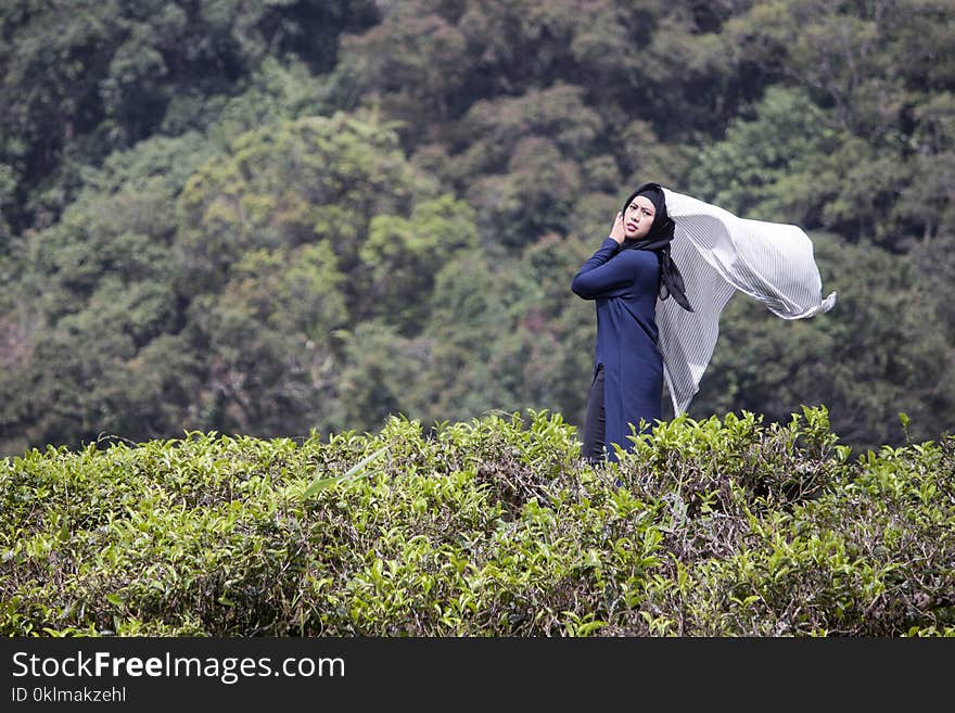 Woman in Blue Dress Surround by Green Leafed Plants