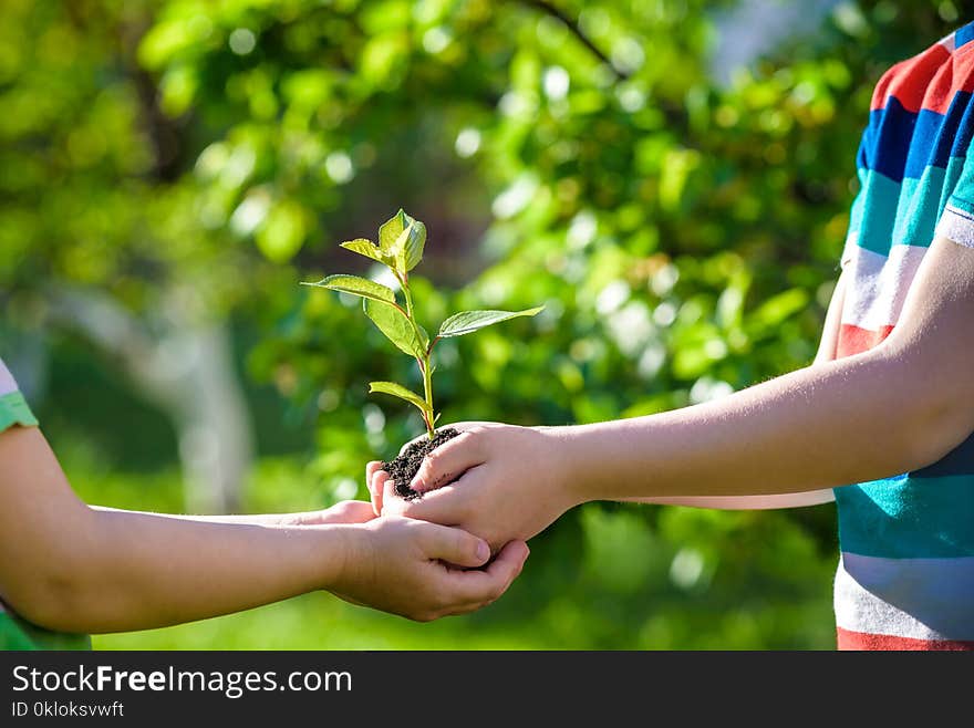 People holding young plant in hands against green spring background. Earth day ecology holiday concept