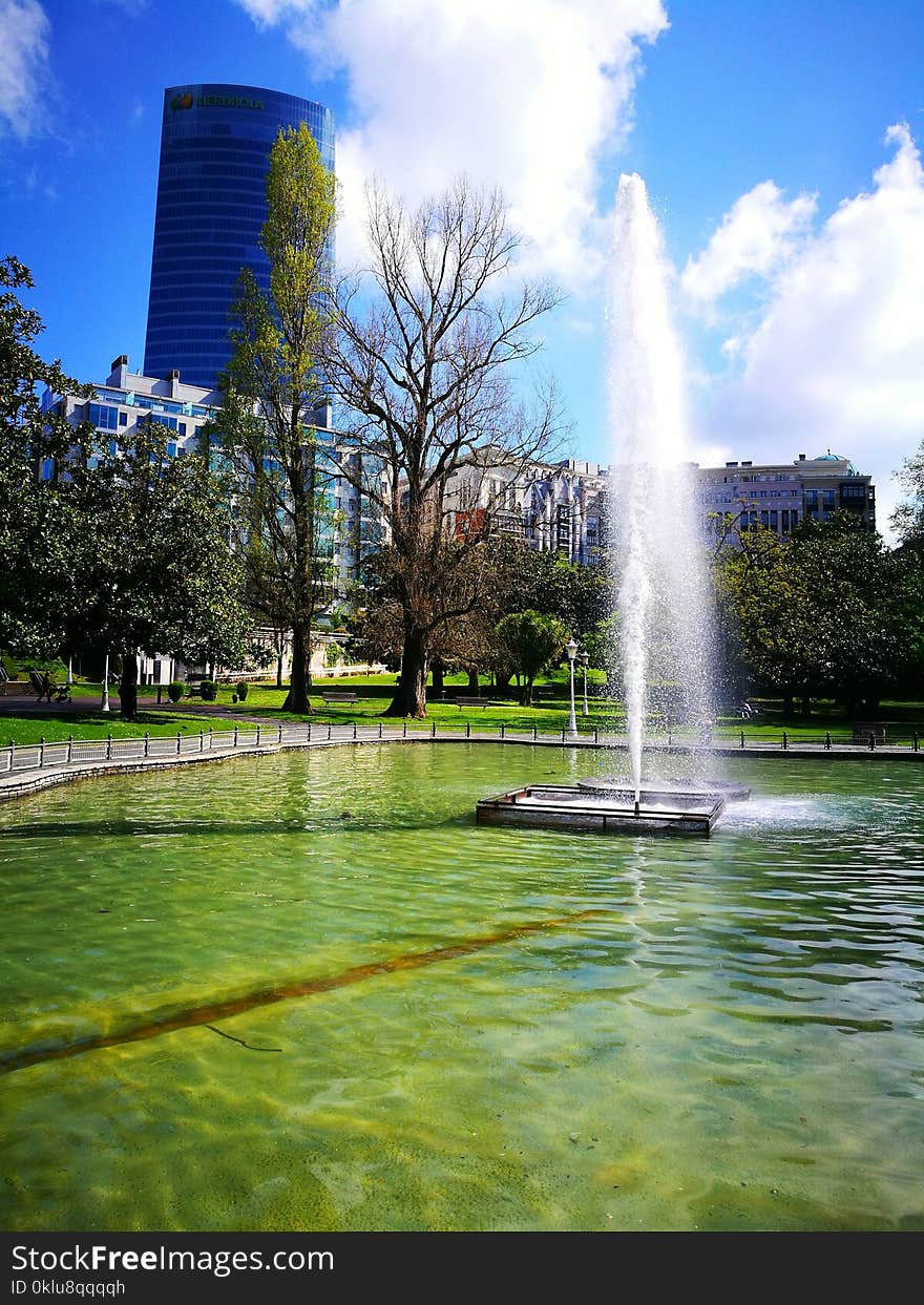 Reflection, Water, Green, Nature