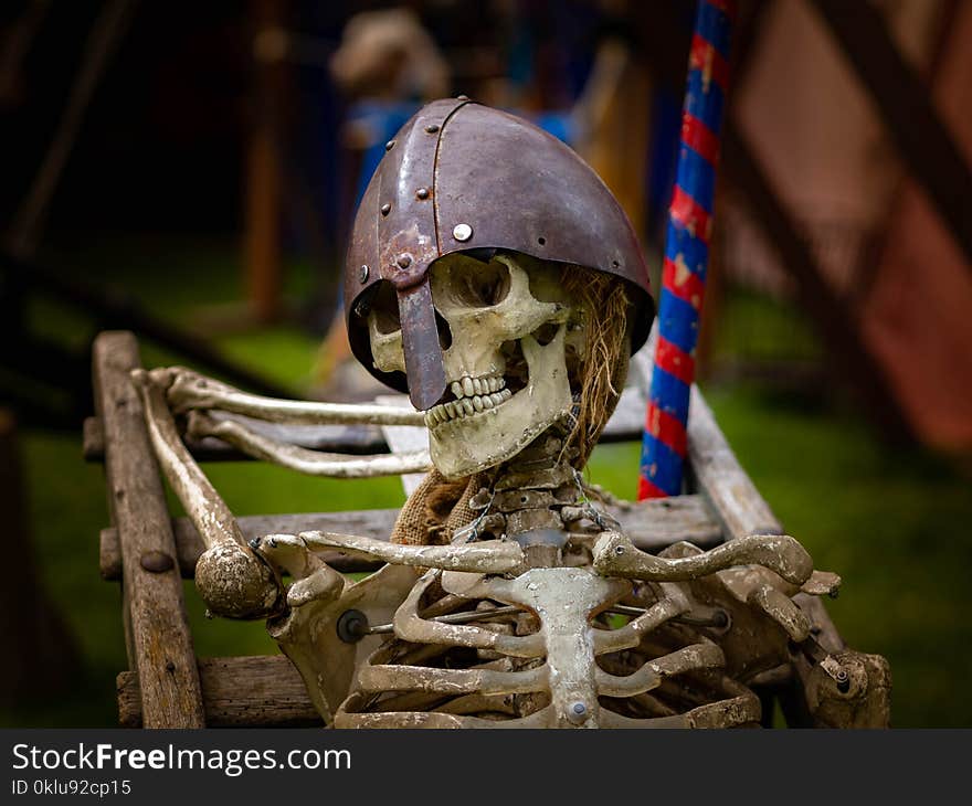 Skeleton