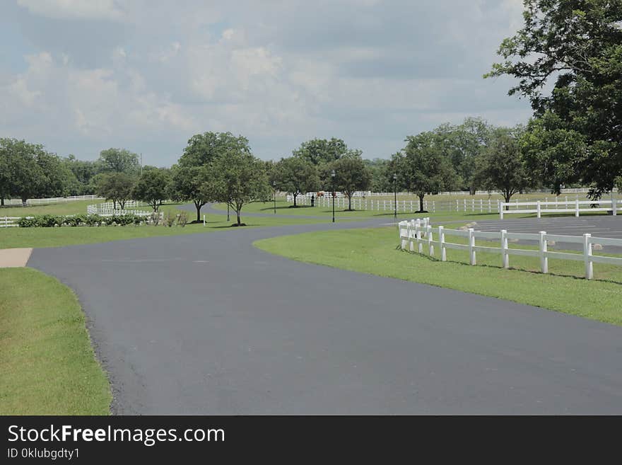 Asphalt, Structure, Tree, Grass