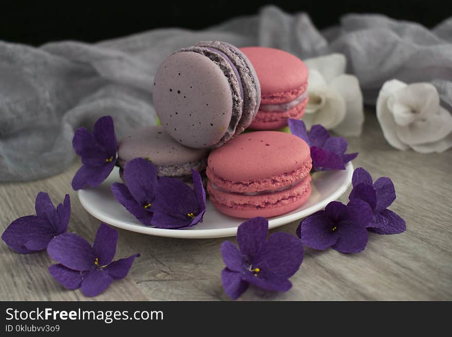 Purple, Lilac, Macaroon, Violet