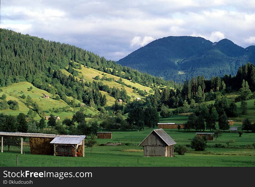 Grassland, Mountain Village, Highland, Nature