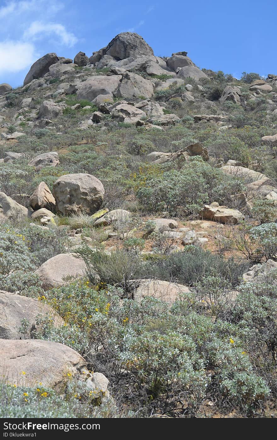 Chaparral, Badlands, Vegetation, Shrubland