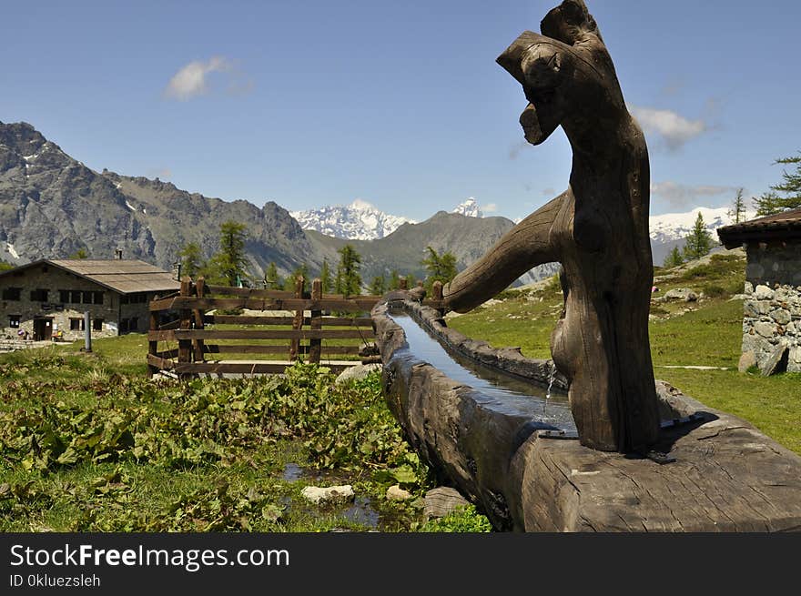 Historic Site, Statue, Tree, Sculpture