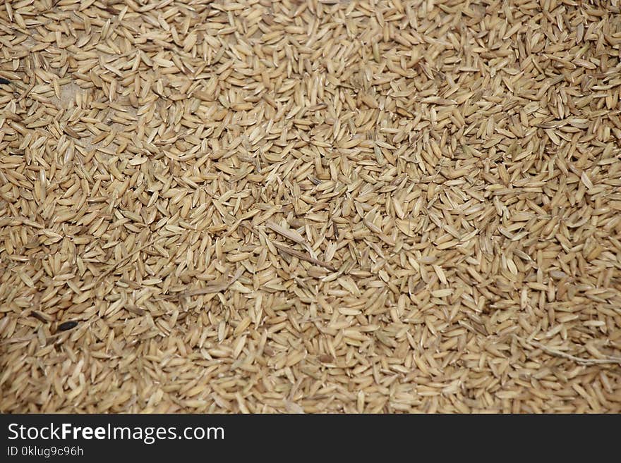 Food Grain, Whole Grain, Grain, Husk