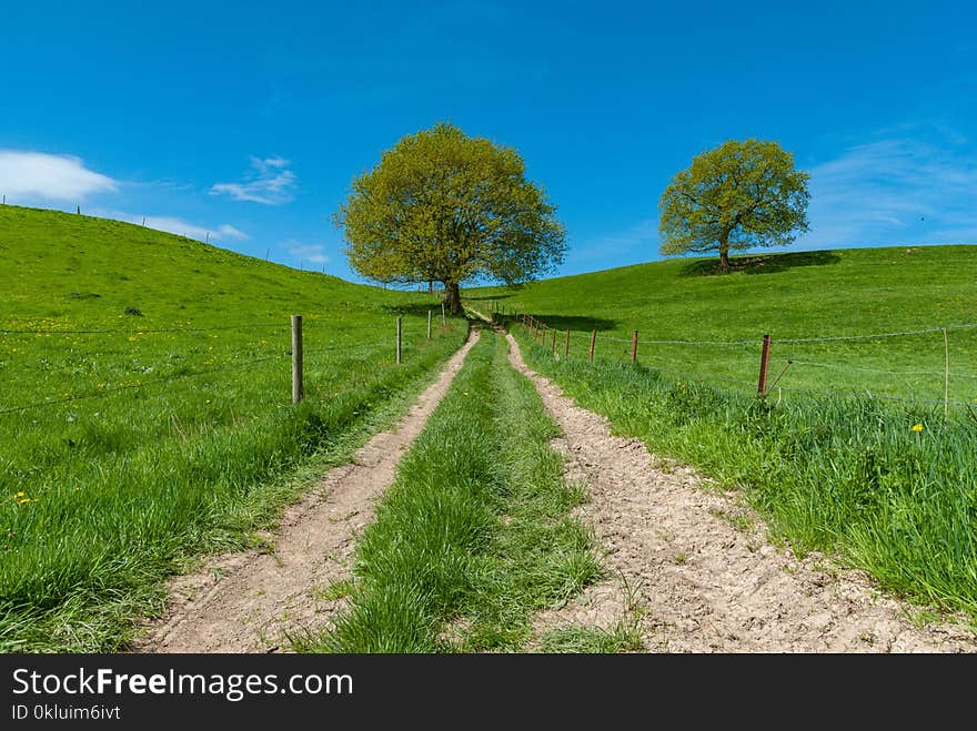 Sky, Grassland, Path, Road