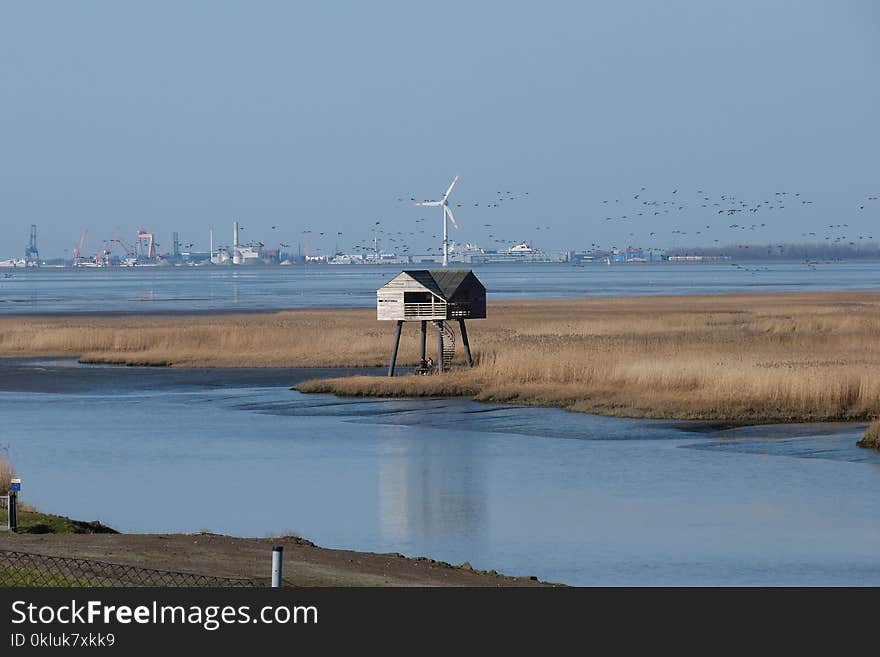 Water, Wetland, Shore, Sea