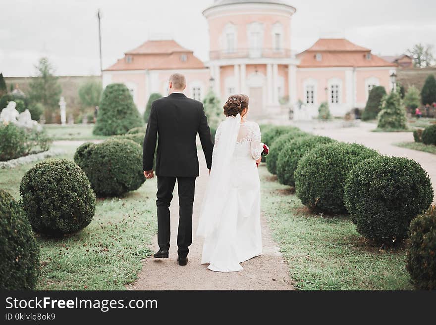 Wedding Couple Bride And Groom Holding Hands