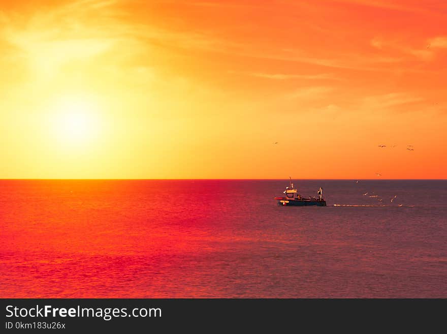 Trawler back at sunset with seagulls