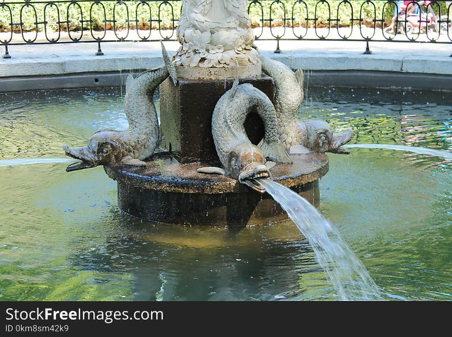 Water, Water Feature, Pond, Fountain