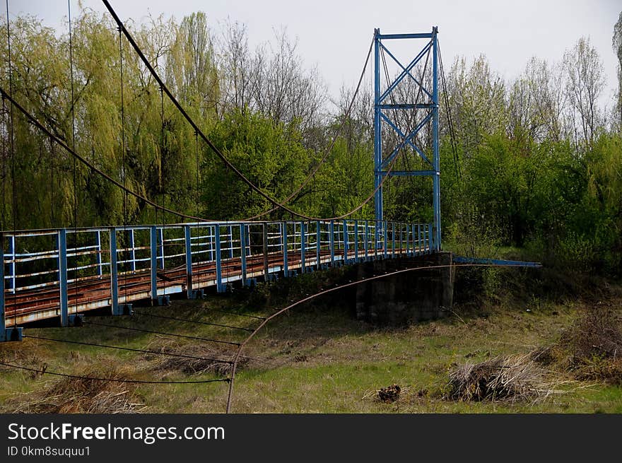 Bridge, Truss Bridge, Water, Tree