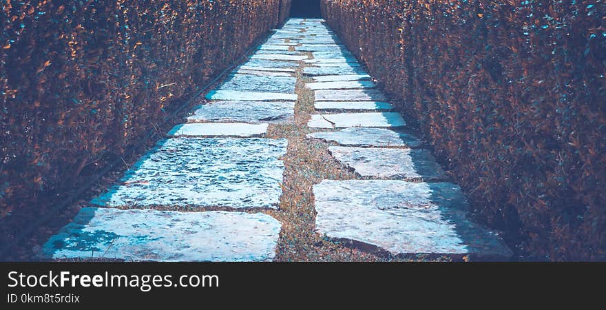 Blue, Wall, Water, Line